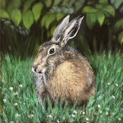 Hare in the Garden