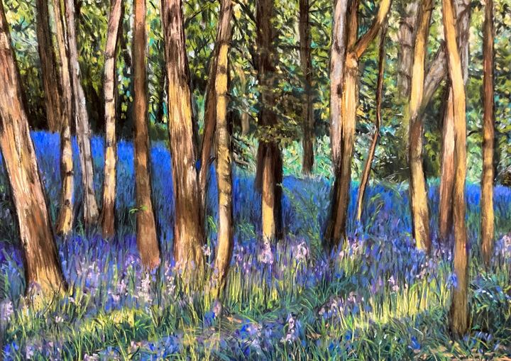 Bluebell Wood