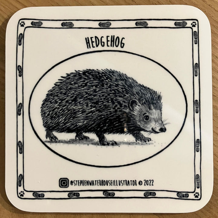 Hedgehog Coaster by Stephen Waterhouse