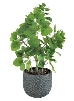 Artificial Apple Leaf in Mesh Pot