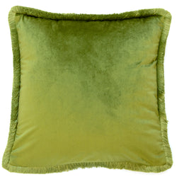 Malini Meghan Olive  Cushion